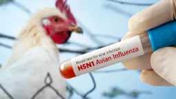 المنظمة العالمية لصحة الحيوان تعلن...