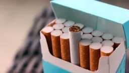 رسمياً: قائمة أسعار السجائر الجديدة...