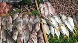 سعر السمك اليوم السبت 29...