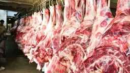 سعر اللحوم اليوم السبت 29...