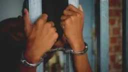 تحقيق عاجل في الإسكندرية: القبض...