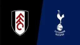 كيفية مشاهدة مباراة توتنهام وفولهام...