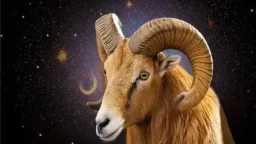 هل يتخلى الحمل عن الحب؟...