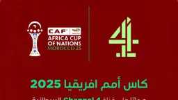 حل حصري ومجاني: كيفية مشاهدة...