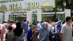 نقلة تاريخية في حديقة حيوان...