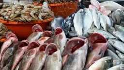 أسعار السمك اليوم للمستهلك في...