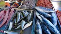 سعر السمك والجمبري والسبيط في...