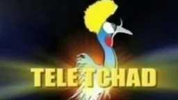 هتنقل أمم إفريقيا ؟ تردد...