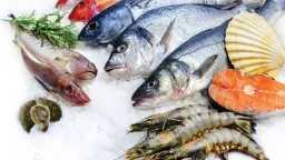 البوري بـ 180.. أسعار السمك...