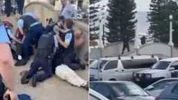 أخبار عالمية