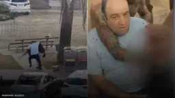 أخبار عالمية