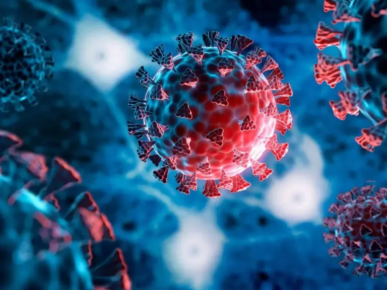 تعرف عليه.. أسباب الإصابة بـ فيروس H3N2 وأعراضه وطريق الوقاية منه