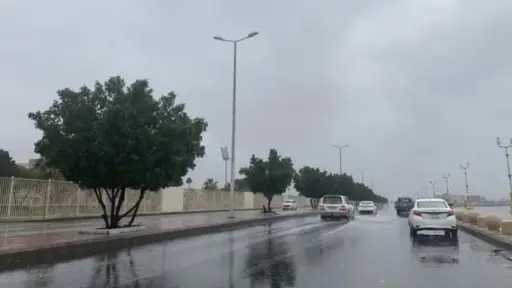 أخبار عربية