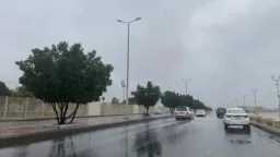 أخبار عربية