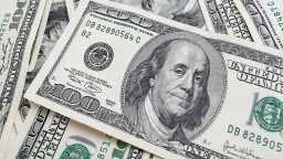 هل استقر الأخضر؟.. قائمة أسعار...