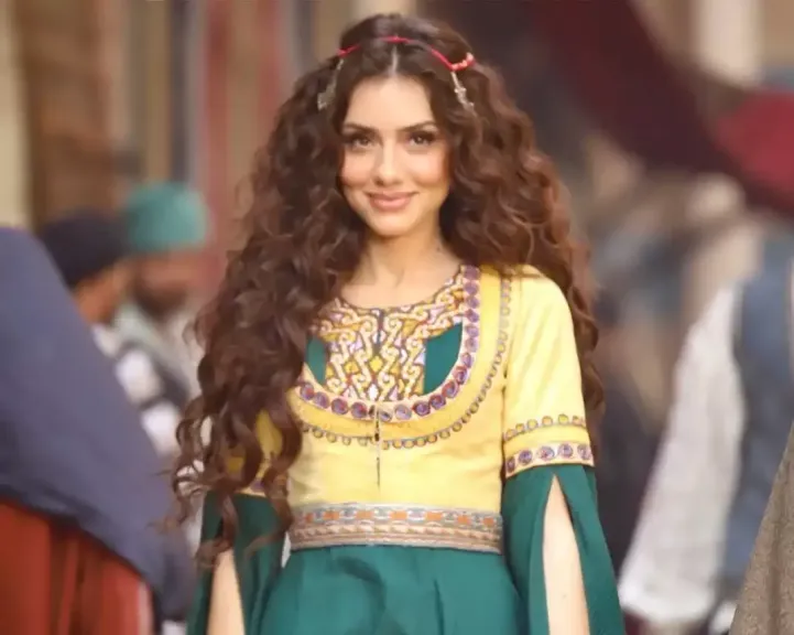 تصريح جيهان الشماشرجي