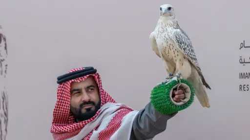 أخبار عربية