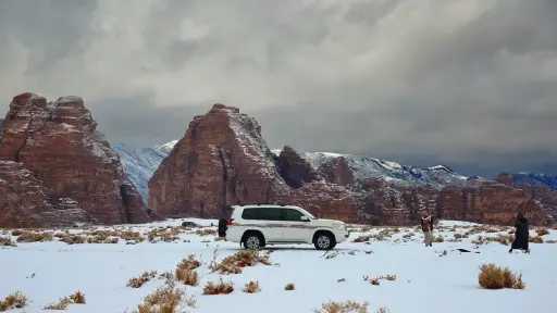 أخبار عربية