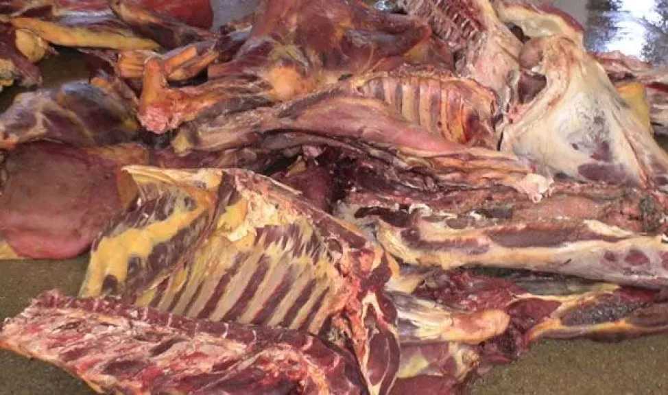 لحوم فاسدة وعطور مجهولة المصدر.. جهود حملة ميدانية مشتركة استهدفت محافظة جدة