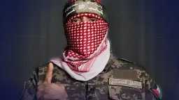 تحقيقات وتقارير