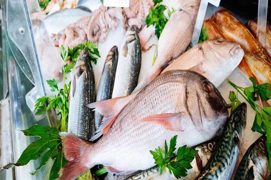 أسعار السمك اليوم