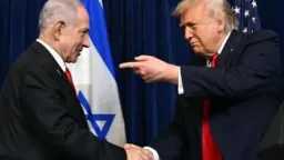 أخبار عالمية