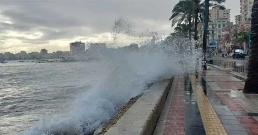 نوات الإسكندرية