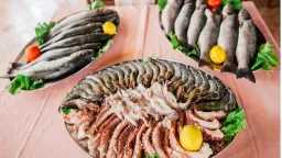 البلطي بكام؟.. تحديث جديد لأسعار...