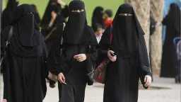 ميديا وتوك شو