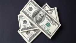 هدوء ما بعد العطلة.. سعر...