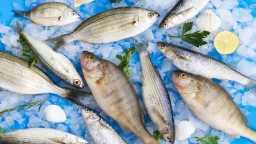 من قلب سوق العبور.. مفاجآت...