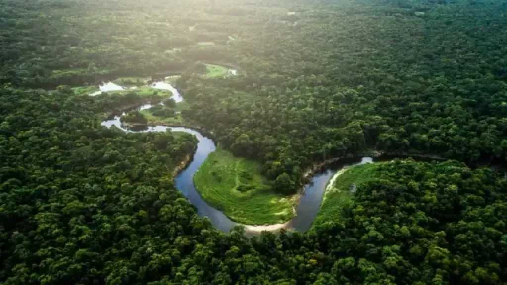 تحقيقات وتقارير