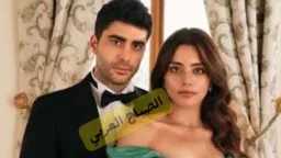 ميديا وتوك شو