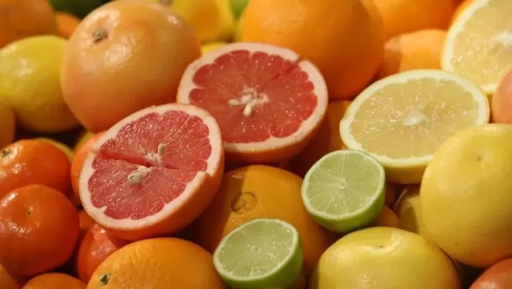 درعك الطبيعي ضد نزلات البرد.. فواكه طبيعية تحميك من البرد هذا العام