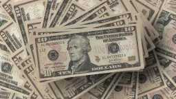 تحقيقات وتقارير