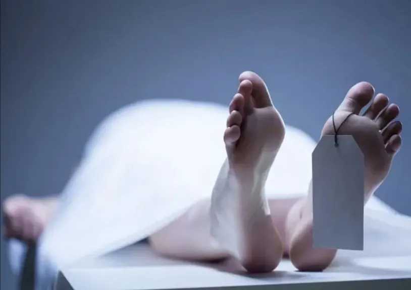 حادث مأساوي في المنوفية.. طفل ينهي حياة والدته بطلق ناري داخل المنزل