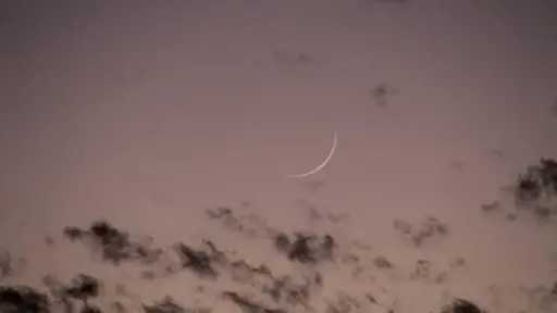 أخبار عربية