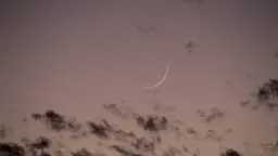 أخبار عربية