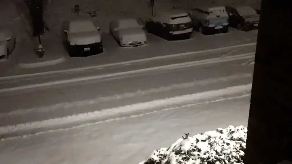 فيديو الثلوج في كامشاتكا يثير الجدل.. ما حقيقته؟