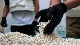 أخبار عربية