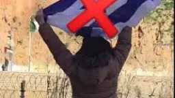 أخبار عربية