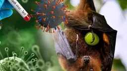 أخبار عالمية