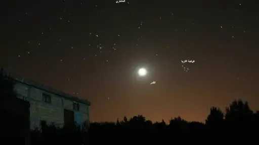 أخبار عربية