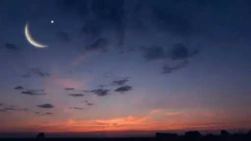 أخبار عربية