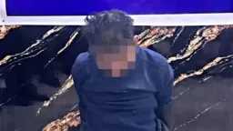 تحقيقات وتقارير