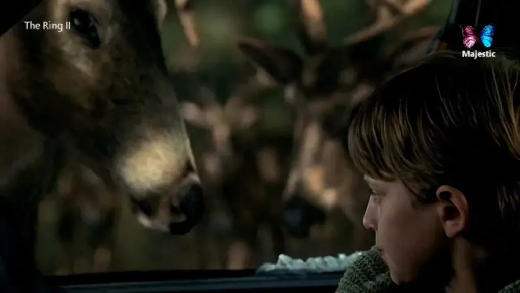 تردد قناة MAJESTIC CINEMA ماجيستك