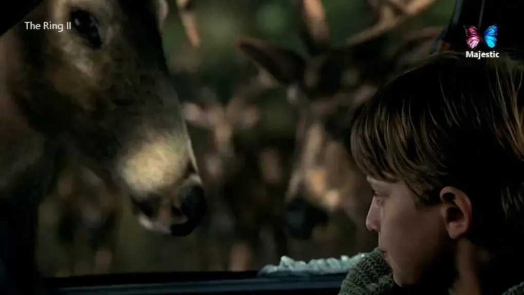 عادت للنايل سات رسميًا.. تردد قناة MAJESTIC CINEMA ماجيستك الجديد 2026