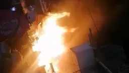 تحقيقات وتقارير