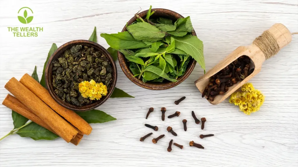 ويـلث تيلرز تعزز حضورها في التجارة العالمية مستندة إلى خبرة تمتد لـ30 عامًا