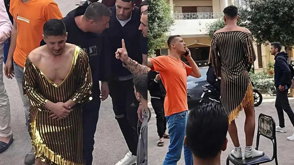 تحقيقات وتقارير